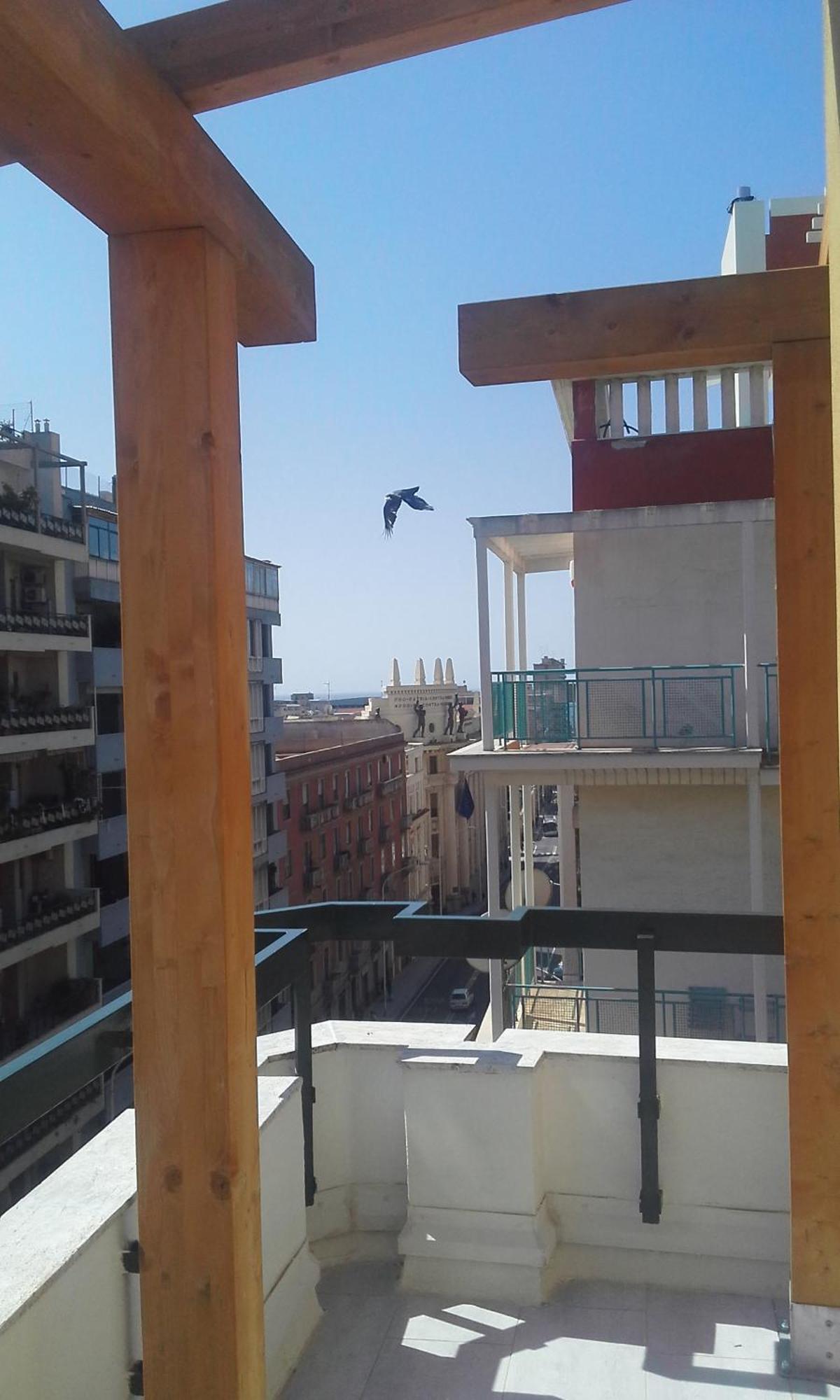 Monolocale Sonnino Villa Cagliari Exteriör bild